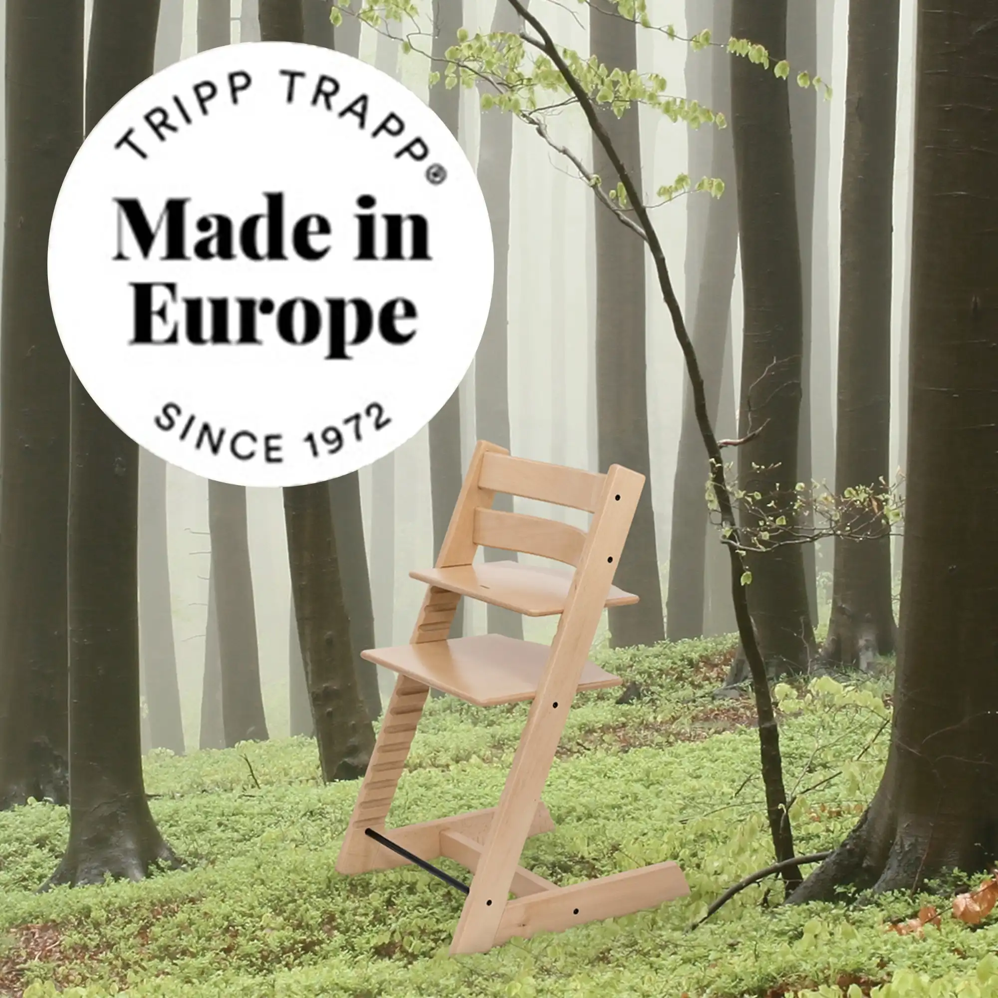 Naturalne europejskie drewno bukowe wykorzystywane w Tripp Trapp w bukowym lesie