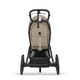 Cybex® Avi Spin