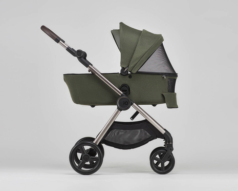 Anex IQ baby stroller 2-in-1 color Richi