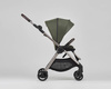 Anex IQ baby stroller 2-in-1 color Richi