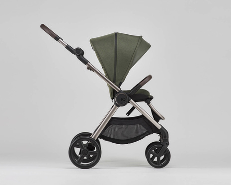 Anex IQ baby stroller 2-in-1 color Richi