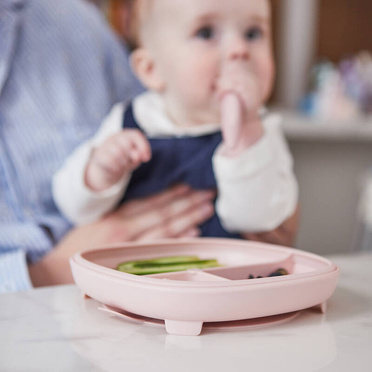 B.Box® plate with suction cup 2-in-1