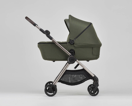 Anex IQ baby stroller 2-in-1 color Richi