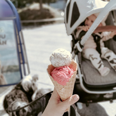 Bugaboo® Fox 3 / Cameleon 3 Plus Breezy Sun Canopy airy summer shelter | Pine Green