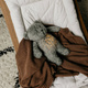 MOONIE | HUMMING TEDDY BEAR ORGANIC WITH LIGHT | ORGANIC GRAY