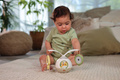 Tiny Love carousel tummy time interactive toy Chic