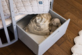 Waldin® 7in1 Oval crib