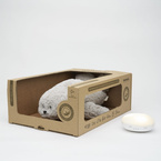MOONIE | SKIMMER 2.0 | SKIMMING ORGANIC RABBIT WITH LIGHT | SAND