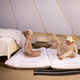 Jetkids™ by Stokke® Cloudsleeper materacyk–łóżeczko turystyczne