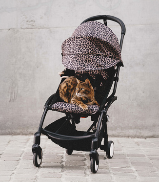 Stokke® Yoyo³ Color Pack 6+ zestaw kolorystyczny