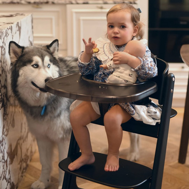 Cybex® Priam 4 Lux Carrycot carrycot | Koi Crystallized