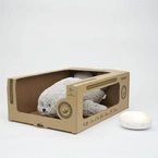 MOONIE | SKIMMER 2.0 | SKIMMING ORGANIC RABBIT WITH LIGHT | SAND
