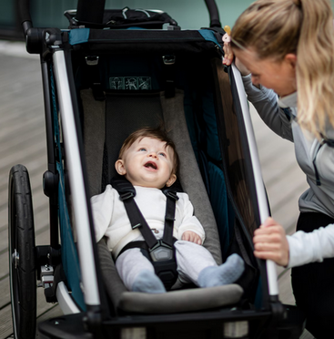 Thule | Infant Sling | Wyściełany Hamak–Nosidło do Przyczepki