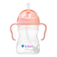B.Box® | N! | Innovative Bottle with Straw | Gelato | Tutti Frutti