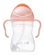 B.Box® | N! | Innovative Bottle with Straw | Gelato | Tutti Frutti