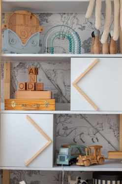 Bellamy Pinette bookcase