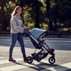 Thule | Spring | Lekki Wózek Spacerowy | Matt Black + Teal Melange