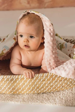 La millou lightweight minky blanket FROGS