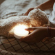 MOONIE ORGANIC, Honey Natur's Honey Natur Lighted Rummaging Teddy Bear