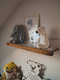 Bellamy Lotta snow shelf