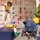 Bugaboo® Donkey 5 Twin wózek bliźniaczy 2w1