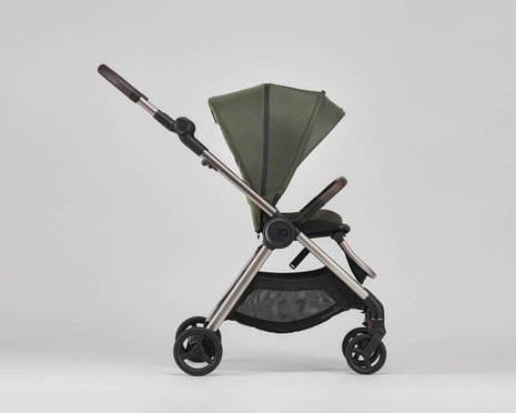 Anex IQ baby stroller 2-in-1 color Richi