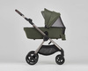 Anex IQ baby stroller 2-in-1 color Richi