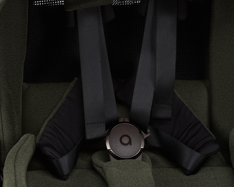 Anex IQ baby stroller 2-in-1 color Richi