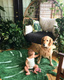 Lorena Canals® ręcznie tkany dywan ze 100% bawełny 120 x 160 cm | Monstera Leaf