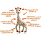 SOPHIE THE GIRAFFE SO'PURE SET WITH TEETHING TOY