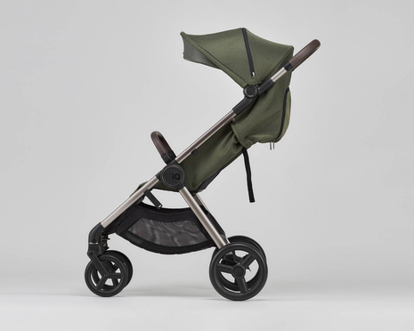 Anex IQ baby stroller 2-in-1 color Richi