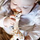 Sophie the giraffe in a box | So'pure