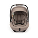 Nuna Arra Next car seat Cedar color + Next base