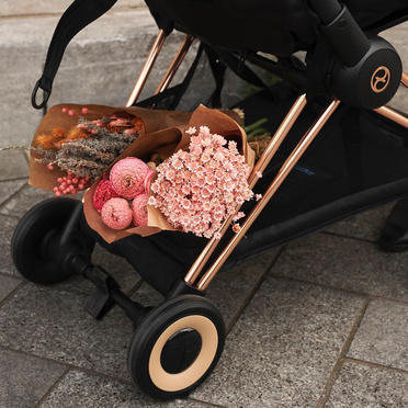 Cybex® Coya lJS RB Wings black