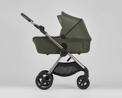 Anex IQ baby stroller 2-in-1 color Richi