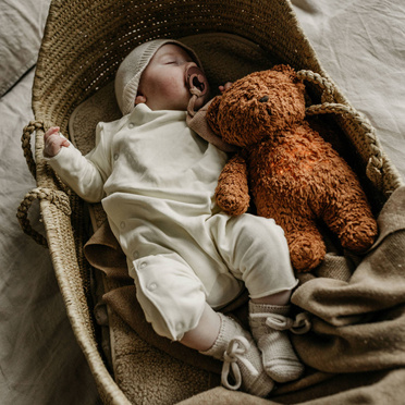 MOONIE 2.0 | TEDDY BEAR | TEDDY ORGANIC WITH LIGHT | HONEY