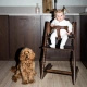 Stokke® Tripp Trapp® 2-in-1 set, highchair + baby set | Walnut Brown