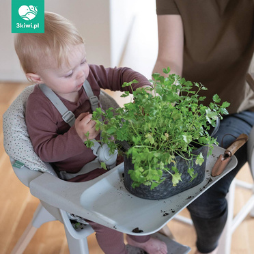 Stokke® Clikk™ ergonomiczne krzesełko dla dziecka | Natural + Clover Green - model ekspozycyjny