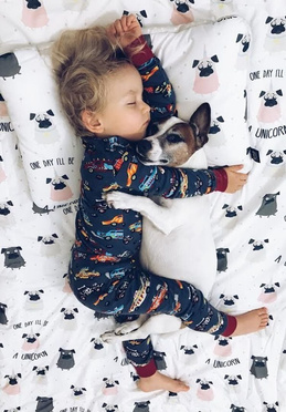 La Millou | Bed Pillow | Poduszka 40x60 | On The Road 