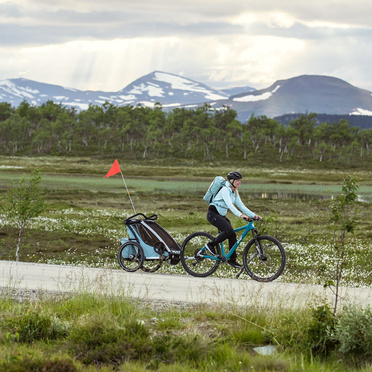 Thule® Chariot Cross 1 wielofunkcyjna przyczepka rowerowa | Alaska